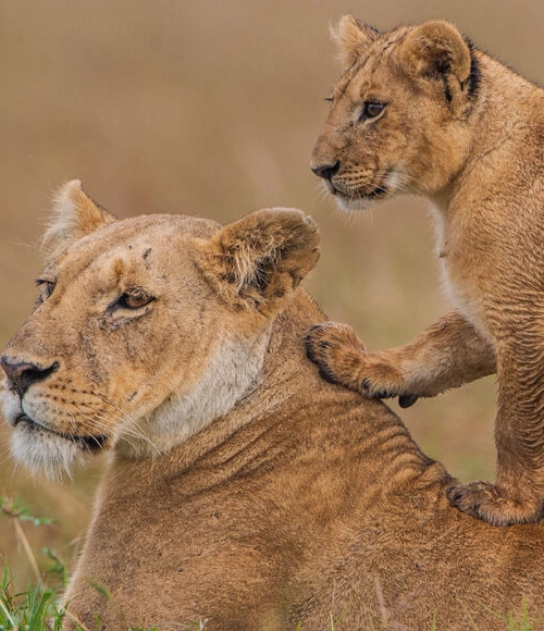 Kenya